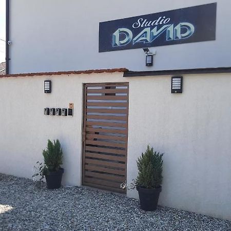 *Studio David* Sibiu Dış mekan fotoğraf